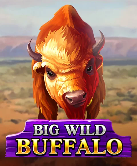 Play Big Wild Buffalo at Slot Nite Casino